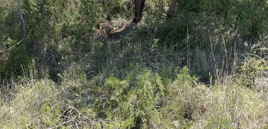 TERRENOS CON COSTA AL ARROYO LOS CHORRILLOS- CARLOS PAZ -CÓRDOBA