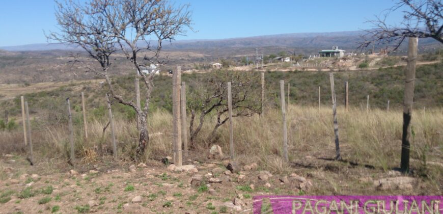 TERRENO EN ESTANCIA VIEJA VENTA- VISTA A METROS DE CALLE 2