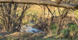 Lote con costa al Arroyo Los Chorrillos en Venta-Vª Carlos Paz