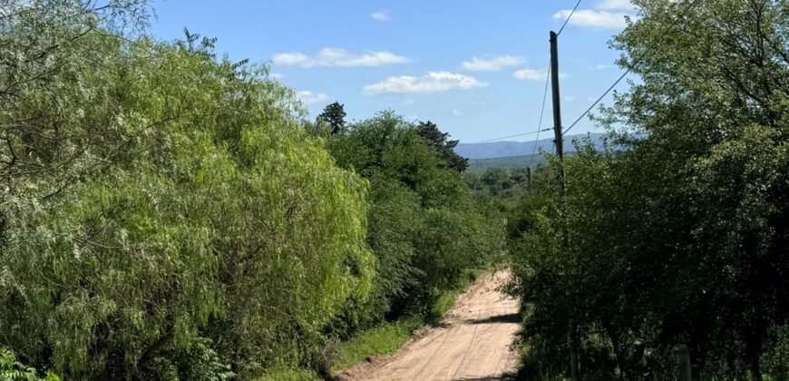TERRENO EN TANTI- A 5 CUADRAS DE COLONIA BANCO NACION-  EN VENTA