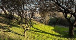 TERRENO CON VISTA PANORÁMOICA Bª- Vª DEL LAGO EN VENTA – Vª CARLOS PAZ