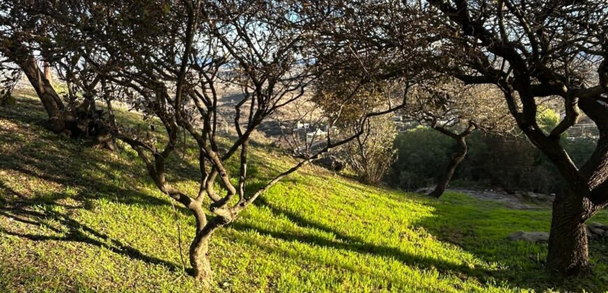 TERRENO CON VISTA PANORÁMOICA Bª- Vª DEL LAGO EN VENTA – Vª CARLOS PAZ